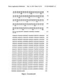 Protein Belonging to the TNF Superfamily Involved in Signal Transduction,     Nucleic Acids Encoding Same and Methods of Use Thereof diagram and image