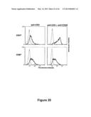 Protein Belonging to the TNF Superfamily Involved in Signal Transduction,     Nucleic Acids Encoding Same and Methods of Use Thereof diagram and image