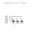 ANTAGONISTS OF PRODUCTS OF THE HS.459642 UNIGENE CLUSTER FOR THE     INHIBITION OF PROLIFERATION, DEVELOPMENT OR DIFFERENTIATION OF STEM CELLS     INCLUDING CANCER STEM CELLS diagram and image