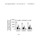 ANTAGONISTS OF PRODUCTS OF THE HS.459642 UNIGENE CLUSTER FOR THE     INHIBITION OF PROLIFERATION, DEVELOPMENT OR DIFFERENTIATION OF STEM CELLS     INCLUDING CANCER STEM CELLS diagram and image