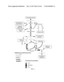 INDUCING APOPTOSIS IN QUIESCENT CELLS diagram and image