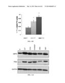 INDUCING APOPTOSIS IN QUIESCENT CELLS diagram and image