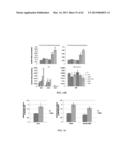 INDUCING APOPTOSIS IN QUIESCENT CELLS diagram and image