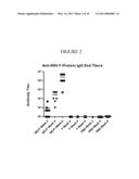 NANOEMULSION RESPIRATORY SYNCYTIAL VIRUS (RSV) SUBUNIT VACCINE diagram and image