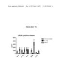 NANOEMULSION RESPIRATORY SYNCYTIAL VIRUS (RSV) SUBUNIT VACCINE diagram and image