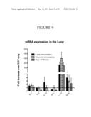 NANOEMULSION RESPIRATORY SYNCYTIAL VIRUS (RSV) SUBUNIT VACCINE diagram and image