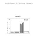 NANOEMULSION RESPIRATORY SYNCYTIAL VIRUS (RSV) SUBUNIT VACCINE diagram and image