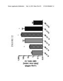 NANOEMULSION RESPIRATORY SYNCYTIAL VIRUS (RSV) SUBUNIT VACCINE diagram and image