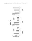 COMPOSITIONS AND METHODS FOR TREATING PROSTATE CANCER diagram and image