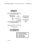 Method for preparing micro-foam whipped milk for cappuccino or a method     for whipping other liquids containing proteins, using an apparatus diagram and image