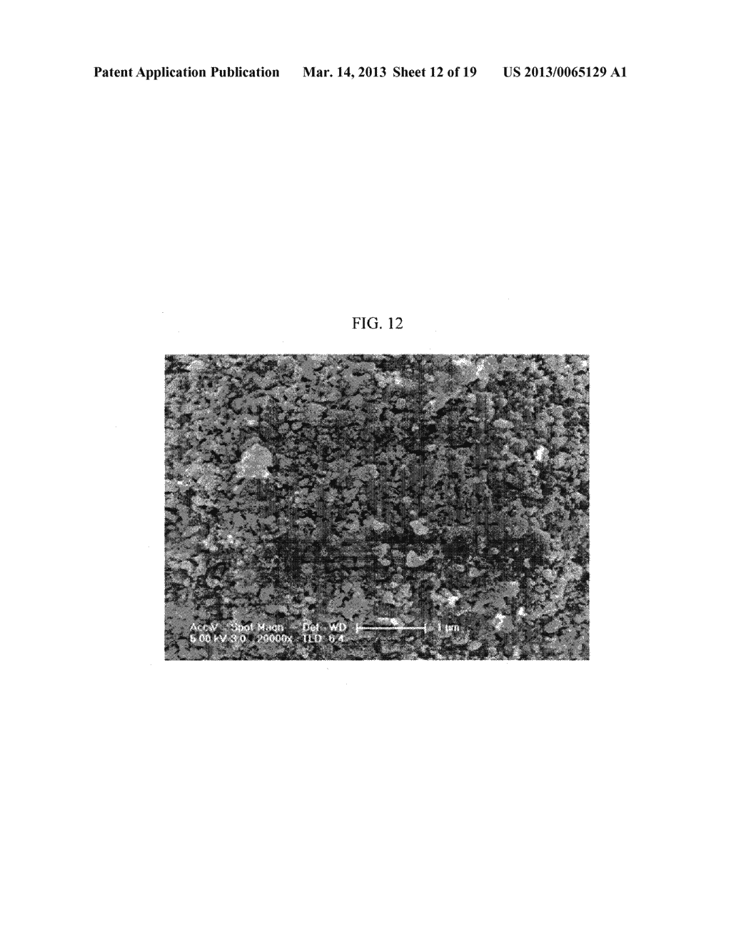 POSITIVE ELECTRODE FOR RECHARGEABLE LITHIUM BATTERY, METHOD OF PREPARING     THE SAME, AND RECHARGEABLE LITHIUM BATTERY INCLUDING THE SAME - diagram, schematic, and image 13