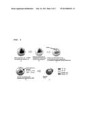 METAL POWDER IGNITION APPARATUS, METAL POWDER IGNITION METHOD, COMPACT     METAL POWDER COMBUSTION APPARATUS AND METAL POWDER COMBUSTION METHOD     USING WATER PLASMA diagram and image