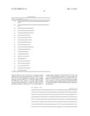 COMPOSITIONS, METHODS AND REACTION MIXTURES FOR THE DETECTION OF MURINE     LEUKEMIA VIRUS-RELATED VIRUS diagram and image