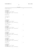 COMPOSITIONS, METHODS AND REACTION MIXTURES FOR THE DETECTION OF MURINE     LEUKEMIA VIRUS-RELATED VIRUS diagram and image