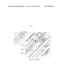 Primer and Probe for Use In Detection of Mycobacterium Kansasii and Method     for Detection of Mycobacterium Kansasii Using The Same diagram and image