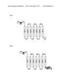 METHOD FOR PRODUCING cAMP USING CHIMERIC OLFACTORY RECEPTOR diagram and image