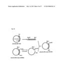 METHOD FOR PRODUCING cAMP USING CHIMERIC OLFACTORY RECEPTOR diagram and image