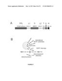 METHODS FOR DETECTION OF BOTULINUM NEUROTOXIN diagram and image