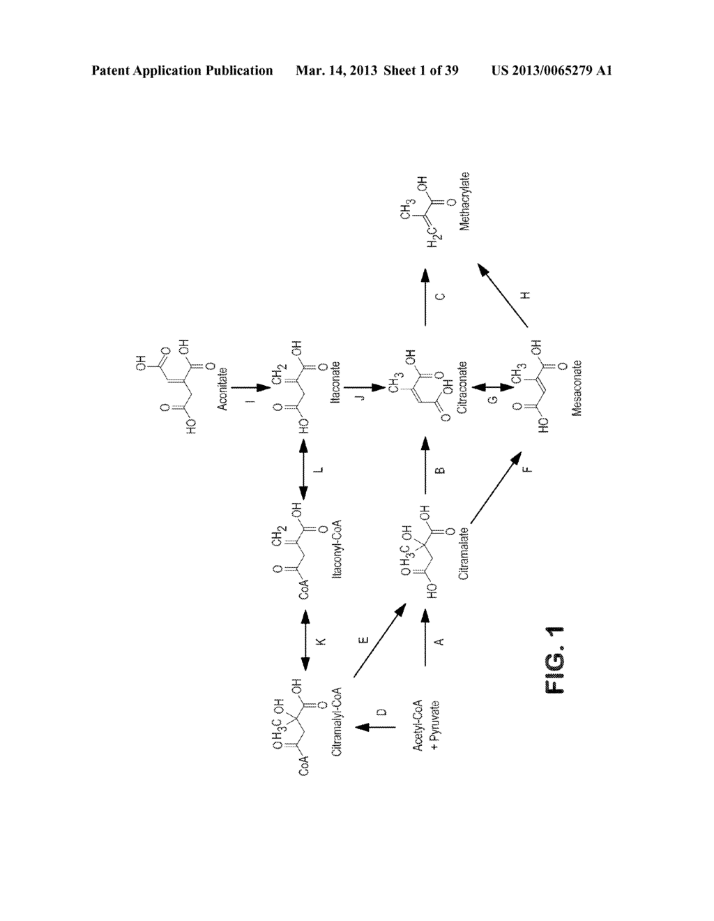 MICROORGANISMS FOR PRODUCING METHACRYLIC ACID AND METHACRYLATE ESTERS AND     METHODS RELATED THERETO - diagram, schematic, and image 02