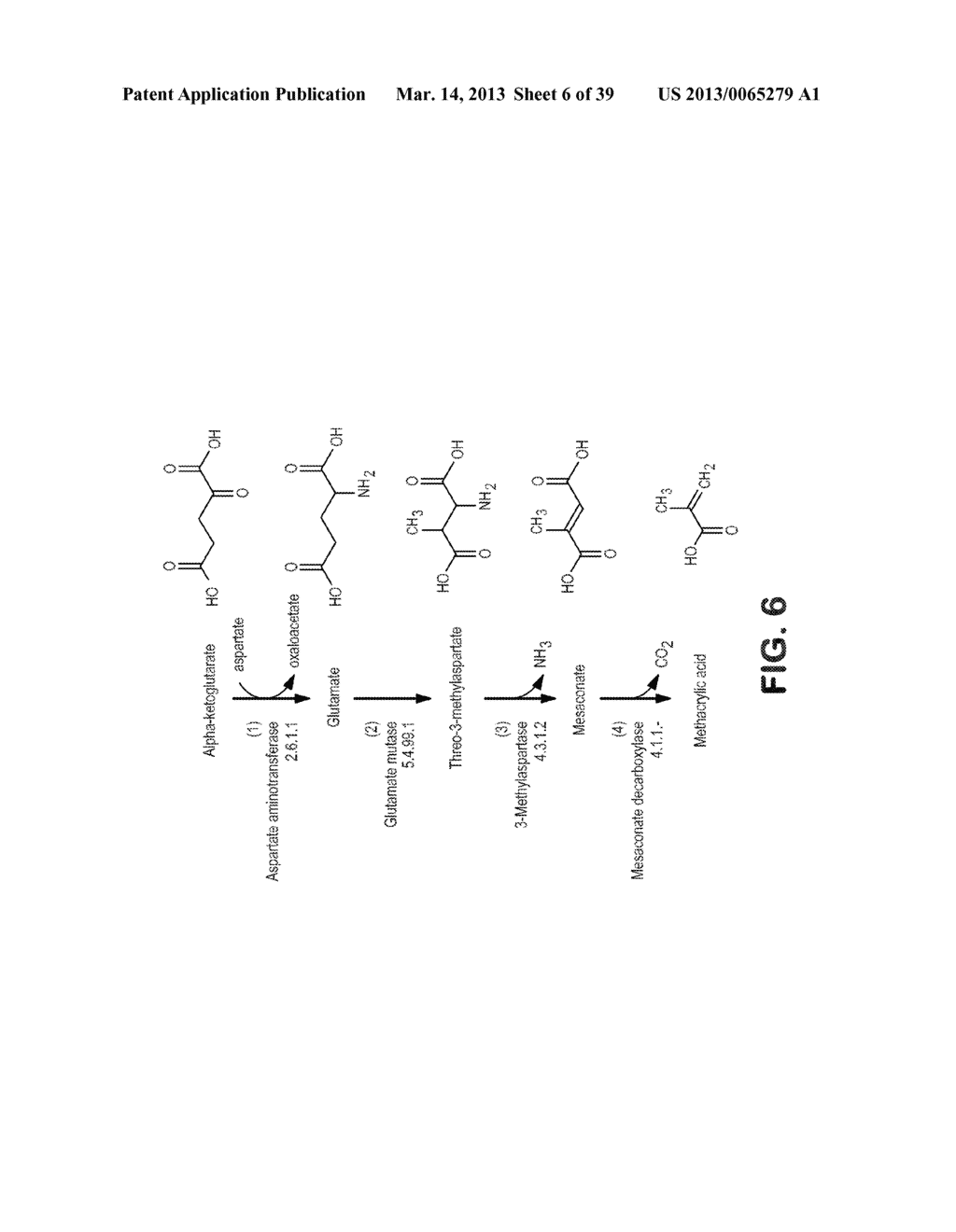 MICROORGANISMS FOR PRODUCING METHACRYLIC ACID AND METHACRYLATE ESTERS AND     METHODS RELATED THERETO - diagram, schematic, and image 07