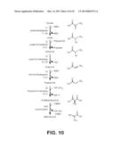 MICROORGANISMS FOR PRODUCING METHACRYLIC ACID AND METHACRYLATE ESTERS AND     METHODS RELATED THERETO diagram and image