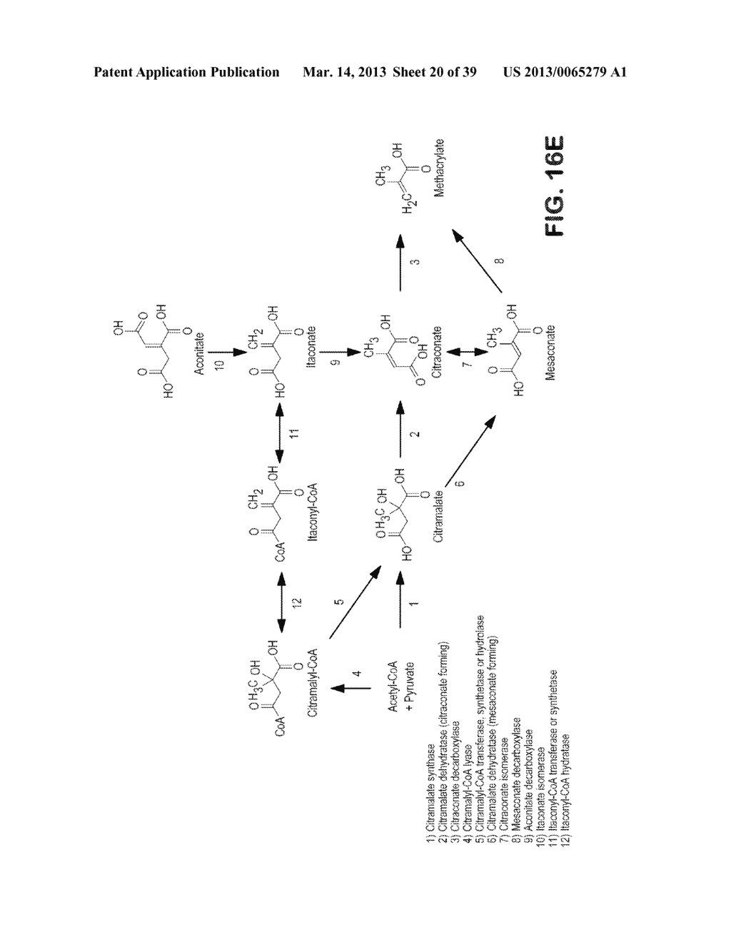 MICROORGANISMS FOR PRODUCING METHACRYLIC ACID AND METHACRYLATE ESTERS AND     METHODS RELATED THERETO - diagram, schematic, and image 21