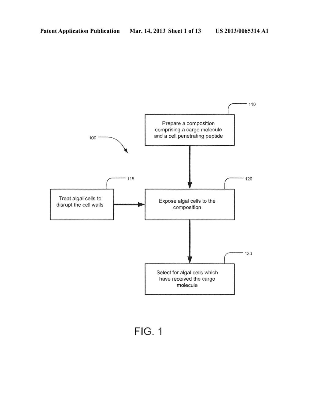 ALGAL TRANSFORMATION SYSTEMS, COMPOSITIONS AND METHODS - diagram, schematic, and image 02