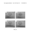 ALGAL TRANSFORMATION SYSTEMS, COMPOSITIONS AND METHODS diagram and image