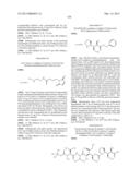 NEW BINDER-DRUG CONJUGATES (ADCS) AND USE THEREOF diagram and image