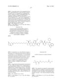 NEW BINDER-DRUG CONJUGATES (ADCS) AND USE THEREOF diagram and image