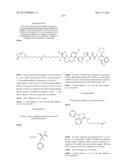 NEW BINDER-DRUG CONJUGATES (ADCS) AND USE THEREOF diagram and image