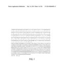 Use of Antisense Oligonucleotides or siRNA to Suppress Expression of     eIF-5A1 diagram and image