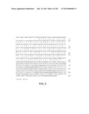 Use of Antisense Oligonucleotides or siRNA to Suppress Expression of     eIF-5A1 diagram and image