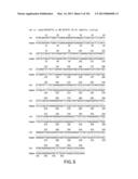 Use of Antisense Oligonucleotides or siRNA to Suppress Expression of     eIF-5A1 diagram and image