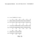 Use of Antisense Oligonucleotides or siRNA to Suppress Expression of     eIF-5A1 diagram and image