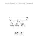 Use of Antisense Oligonucleotides or siRNA to Suppress Expression of     eIF-5A1 diagram and image