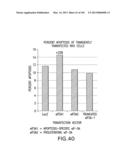 Use of Antisense Oligonucleotides or siRNA to Suppress Expression of     eIF-5A1 diagram and image