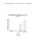 Use of Antisense Oligonucleotides or siRNA to Suppress Expression of     eIF-5A1 diagram and image