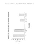 Use of Antisense Oligonucleotides or siRNA to Suppress Expression of     eIF-5A1 diagram and image