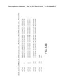 Use of Antisense Oligonucleotides or siRNA to Suppress Expression of     eIF-5A1 diagram and image