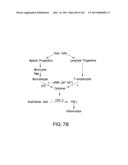 Use of Antisense Oligonucleotides or siRNA to Suppress Expression of     eIF-5A1 diagram and image