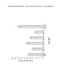 Use of Antisense Oligonucleotides or siRNA to Suppress Expression of     eIF-5A1 diagram and image