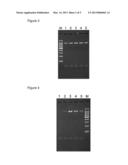 NUCLEIC ACID EXTRACTION METHOD, NUCLEIC ACID EXTRACTION REAGENT KIT, AND     NUCLEIC ACID EXTRACTION REAGENT diagram and image