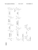 CARBANUCLEOSIDE SYNTHESIS AND NOVEL INTERMEDIATE COMPOUNDS USEFUL THEREIN diagram and image