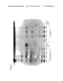 EQUOL-CONTAINING EXTRACT, METHOD FOR PRODUCTION THEREOF, METHOD FOR     EXTRACTION OF EQUOL, AND EQUOL-CONTAINING FOOD diagram and image