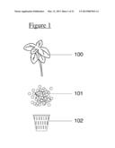 HYDROPONIC SYSTEM diagram and image