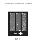 DIELECTROPHORETIC CELL CAPTURE diagram and image