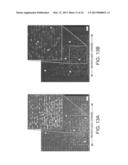 DIELECTROPHORETIC CELL CAPTURE diagram and image