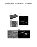 ORGANIC NANOFIBER STRUCTURE BASED ON SELF-ASSEMBLED ORGANOGEL, ORGANIC     NANOFIBER TRANSISTOR USING THE SAME, AND METHOD OF MANUFACTURING THE     ORGANIC NANOFIBER TRANSISTOR diagram and image