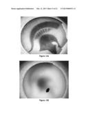 MICROWAVE PLASMA REACTORS diagram and image